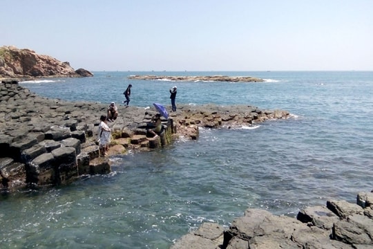 Phú Yên phấn đấu hoàn thành toàn diện các mục tiêu năm 2019