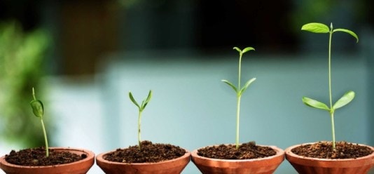 Kỹ năng và tố chất để khởi nghiệp thành công