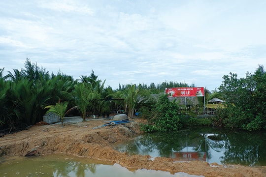 Băm nát rừng dừa Bảy Mẫu – Hội An (Kỳ II): Cơn bão mang tên “lấn chiếm”