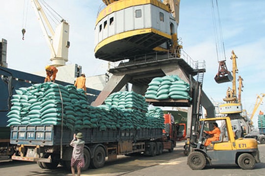 Loay hoay quy hoạch cảng Hải Phòng