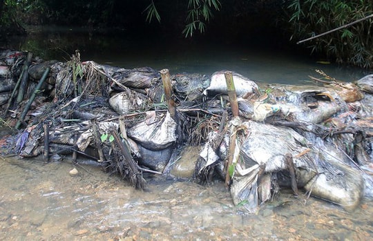 Viwasupco thiếu trách nhiệm: "Trăm dâu đổ đầu dân"