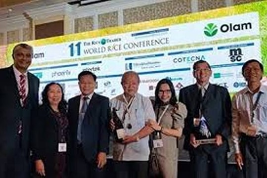 Gạo ST24 của Việt Nam ngon nhất thế giới năm 2019