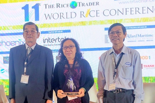 Kỹ sư Hồ Quang Cua và thương hiệu “Gạo ngon nhất thế giới 2019