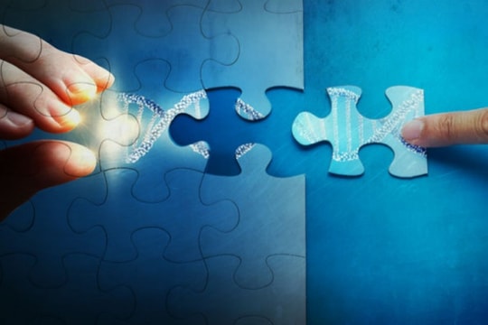 Làm sao để khám phá ra DNA của công ty bạn