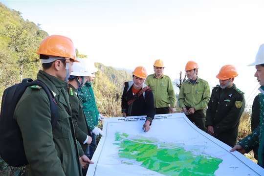 Diễn tập phòng cháy chữa cháy rừng cấp độ 2 tại Vườn quốc gia Hoàng Liên