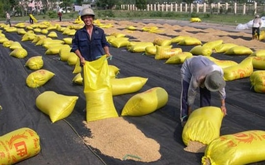 Xuất khẩu gạo năm 2019 khó đạt mục tiêu 3 tỷ USD