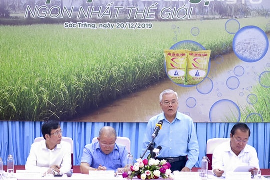 Lúa ST 25 sản xuất đại trà, bảo vệ thương hiệu gạo ST 25 như thế nào?