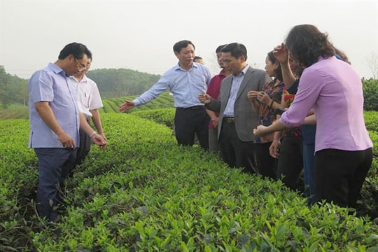 Huyện Đồng Hỷ (Thái Nguyên): Đẩy mạnh chuyển dịch cơ cấu kinh tế hút đầu tư