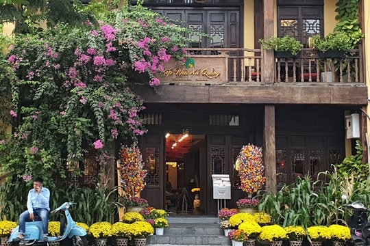 [CẢM XÚC XUÂN]: Vì đó là Hoa!