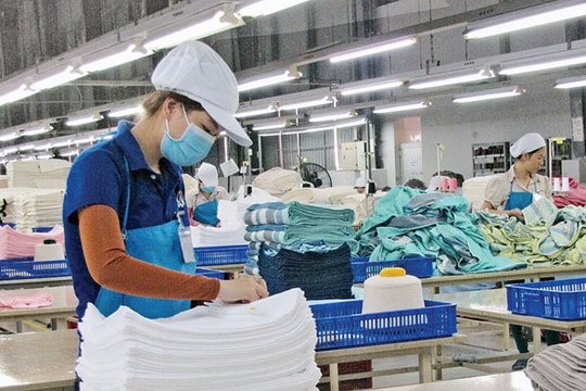 Cải cách 2020 và những năm tới: Đâu sẽ là động lực?