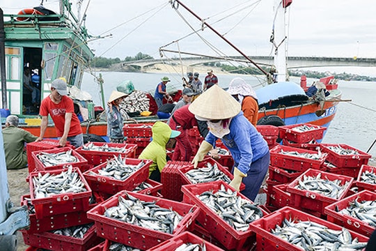 Hợp tác công tư “xây” hạ tầng thuỷ sản