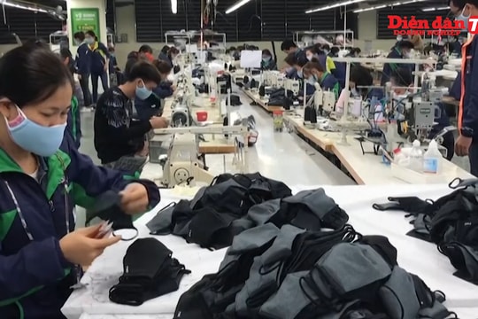 EVFTA: Cơ hội lớn cho doanh nghiệp Việt phát triển?