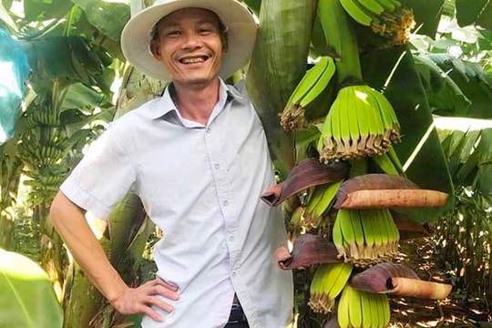 Chính sách về nông nghiệp công nghệ cao chưa tới