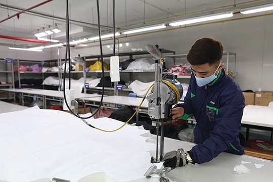 Bảo vệ doanh nghiệp như bảo vệ đồng đội trong cuộc chiến chống COVID-19