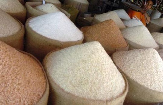 Xây dựng thương hiệu lúa gạo: “Trống đánh xuôi, kèn thổi ngược”