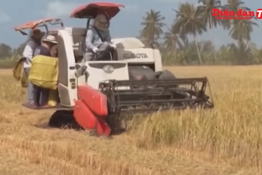 PGS.TS Hoàng Văn Cường: Nền kinh tế sẽ phục hồi từ quý III