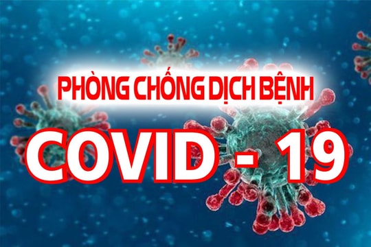 Những bông hoa hậu phương chống dịch COVID-19