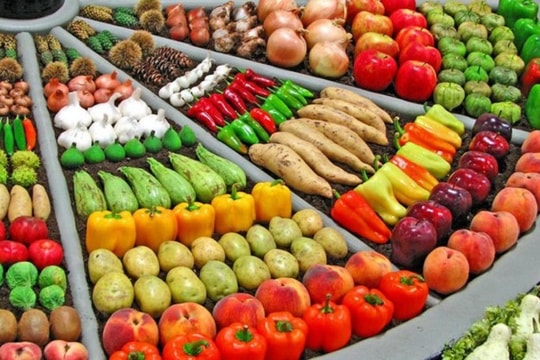 EU quy định nhập khẩu thực phẩm trong dịch COVID-19