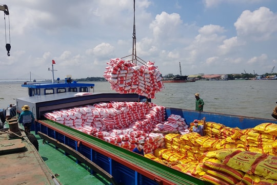 Gian lao hạt gạo ĐBSCL!