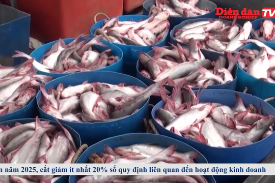 Thời sự ngày 14/5: Cắt giảm ít nhất 20% chi phí tuân thủ quy định về hoạt động kinh doanh