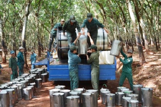 Doanh nghiệp ngành Cao su sáng tạo trong học tập và làm theo tư tưởng, đạo đức, phong cách Hồ Chí Minh