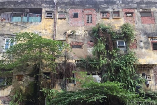 UBND TP Hải Phòng yêu cầu xử lý ngay vấn đề Diễn đàn Doanh nghiệp phản ánh