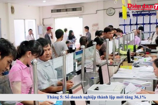 Thời sự ngày 01/06: Số doanh nghiệp thành lập mới tăng 36,1%