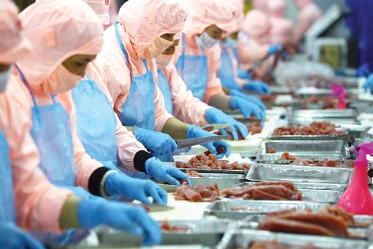 EVFTA: Cơ hội giảm thuế, tái cấu trúc chuỗi cung ứng