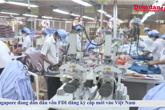 Thời sự ngày 29/06: Giá gạo xuất khẩu sẽ tiếp tục giảm trong thời gian tới