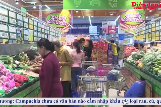 Thời sự ngày 30/06: Thoái vốn 120 doanh nghiệp có vốn nhà nước