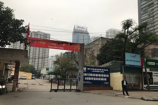 34.000 m2 đất vàng bị "xẻ thịt" cho thuê tại Hà Nội: Seaprodex nói gì?