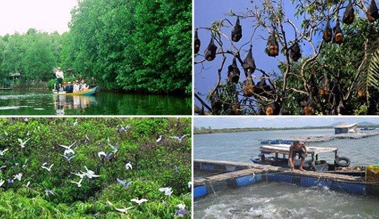 Khu Dự trữ sinh quyển Việt Nam (KỲ I): Lá phổi xanh chưa được “định danh”