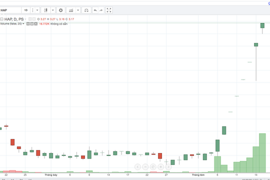 Cổ phiếu HAP liên tục tăng trần có tiềm ẩn rủi ro?