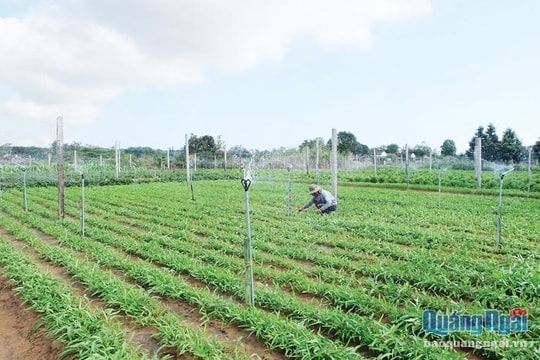 Cuộc thi Khởi nghiệp đổi mới sáng tạo lần II-2020: Lan tỏa tinh thần khởi nghiệp