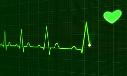 Nuôi thành công mô hình tim người thu nhỏ