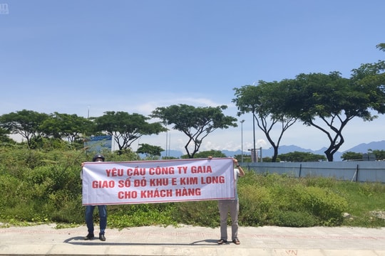 Vụ nữ cán bộ tuồn 22 sổ đỏ cho doanh nghiệp "mượn" phạm những tội danh gì?