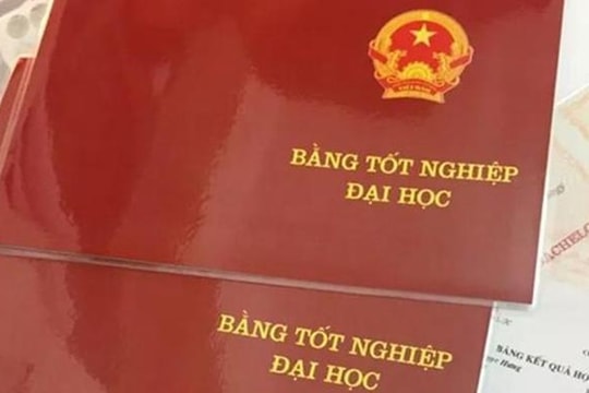 Thị trường hóa giáo dục, hiểu và làm sao cho đúng? (Bài 1)