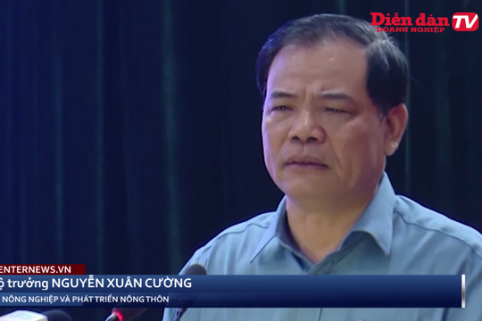 Tái cơ cấu lại nền nông nghiệp để Trung du và miền núi Bắc Bộ "thoát nghèo"