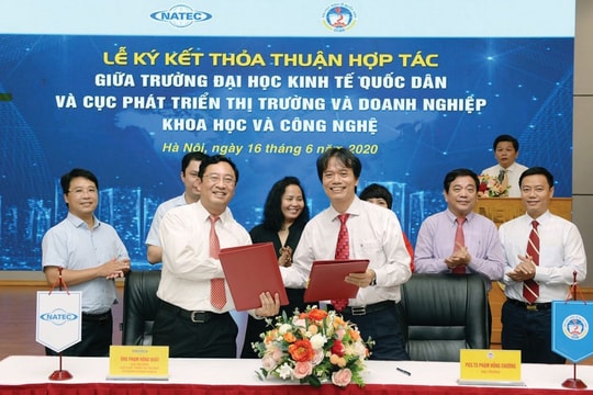 Thế giới thay đổi và con đường của startup Việt