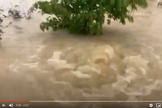 Cận cảnh xoáy nước, nước lũ đùn lên ở Quảng Trị