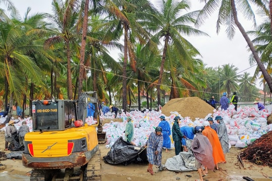 Hàng trăm người Hội An đội mưa "cứu" biển