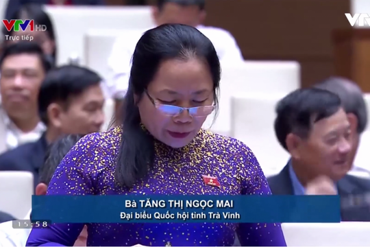 ĐBQD Tăng Thị Ngọc Mai - Đoàn Trà Vinh: Mong muốn có chiến lược và kế hoạch phát triển kinh tế tuần hoàn