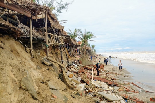 Người Hội An bàng hoàng khi biển lại sạt lở nghiêm trọng