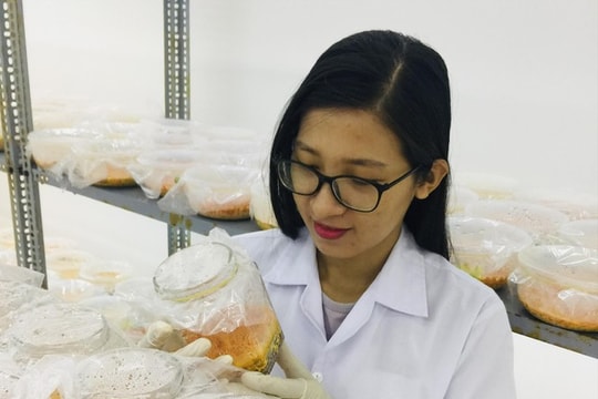 Khởi nghiệp nông nghiệp: