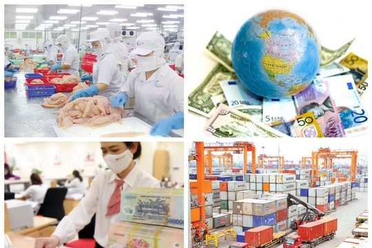 Nhịp sống kinh tế tuần 16/11 - 22/11