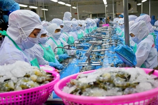 Xuất khẩu thủy sản 2020 có thể cán đích 8,58 tỷ USD