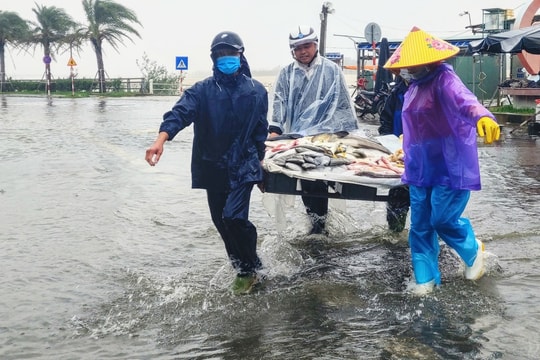 Vùng trũng Quảng Nam lại bị lũ "ghé thăm"