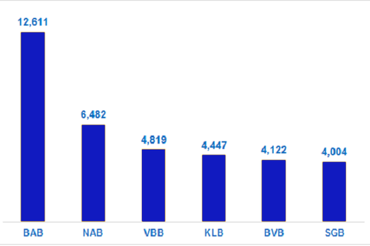 NAB sẽ lên sàn HoSE vào năm 2022?