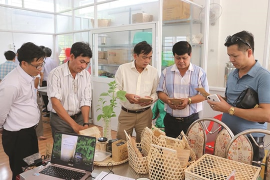 An Giang đảm bảo an toàn vệ sinh thực phẩm trong lĩnh vực nông nghiệp