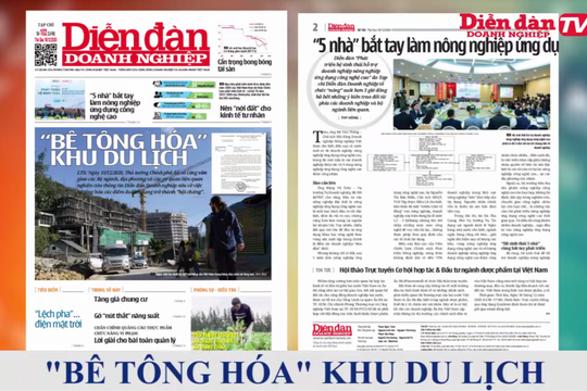 ĐIỂM BÁO NGÀY 18/12: "Bê tông hóa" khu du lịch